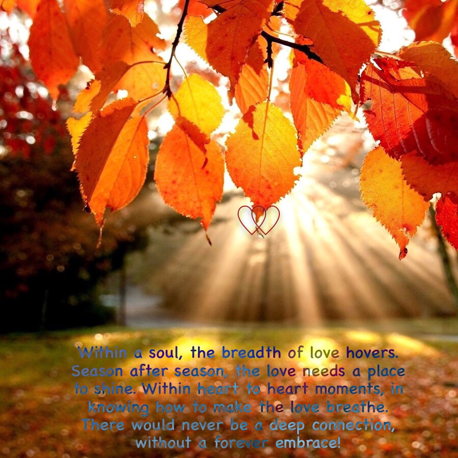 ED16E3E0-02F0-42A8-9BFF-A4616A55E744